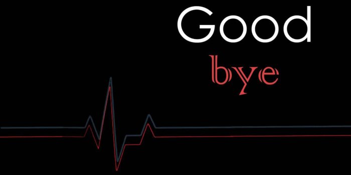 1440x1280 100+] Goodbye Backgrounds | Wallpapers.com