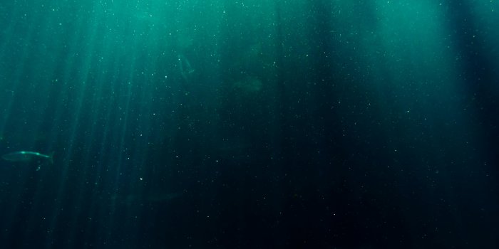 6000x4000 Deep Sea Photos, Download The BEST Free