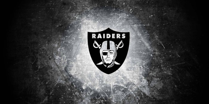 1920x1200 100+] Raiders Wallpapers | Wallpapers.com