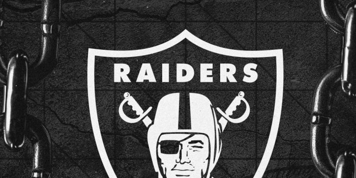 1080x1920 Wallpapers | Las Vegas Raiders