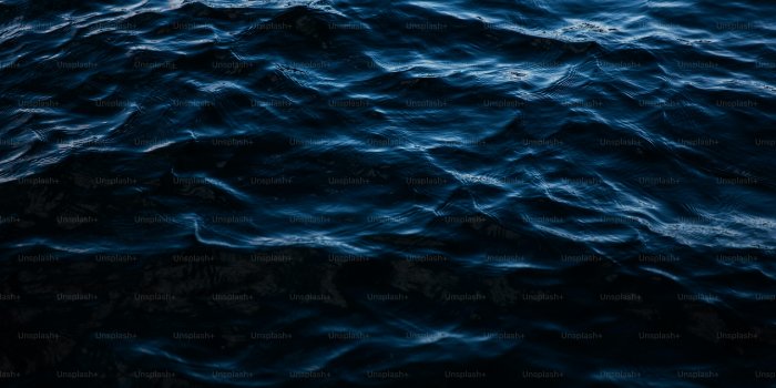 3000x2001 500+ Deep Sea Pictures [HD] | Download