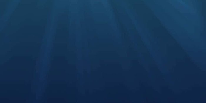 910x1365 100+] Deep Sea Wallpapers | Wallpapers.com