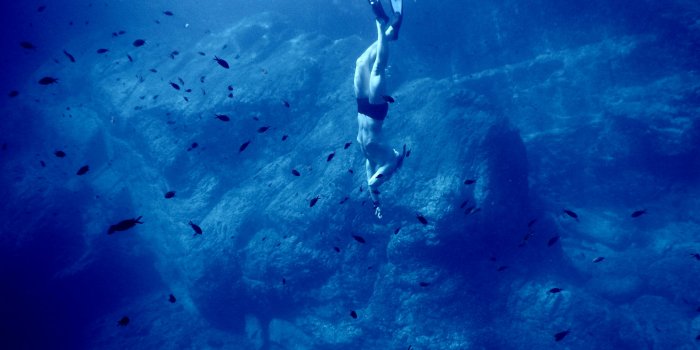 3000x2250 500+ Deep Sea Pictures [HD] | Download