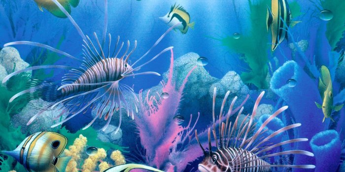 1920x1200 Vibrant Underwater Scene: HD Fish Wallpaper