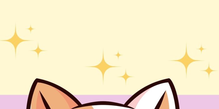 900x1600 cute cat wallpaper templates