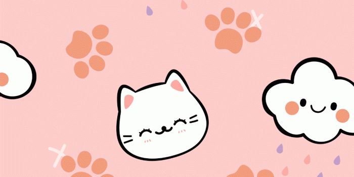 1080x1920 Purr-fectly Cute Cat iPhone Wallpapers