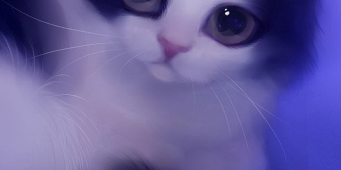 750x1334 Cute Cat Wallpaper