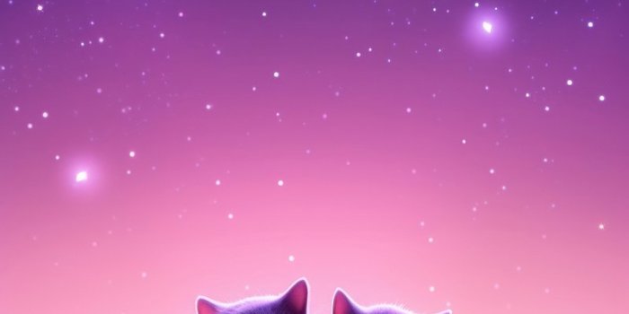 800x1427 Cute Cat Wallpaper Images | Free Photos