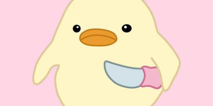 736x1308 Duck Wallpaper - iXpap