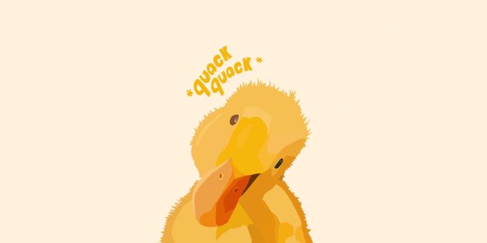 2480x3508 cute duck wallpaper
