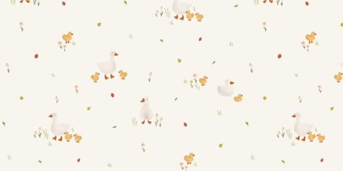 1800x1200 Mama Duck & Ducklings Wallpaper - Hovia