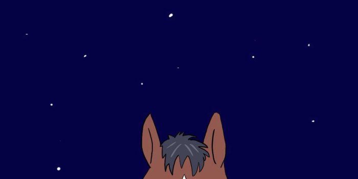 1242x2688 Bojack Horseman Wallpaper - iXpap