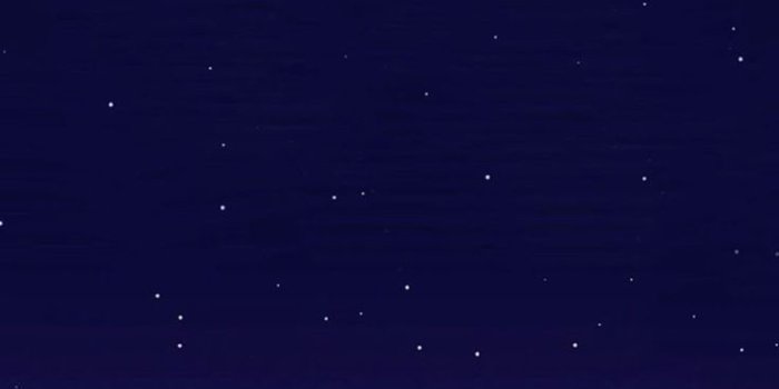 736x1301 Bojack horseman Wallpaper