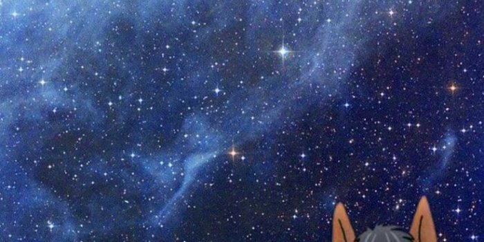 736x1308 Bojack Horseman Wallpaper - iXpap