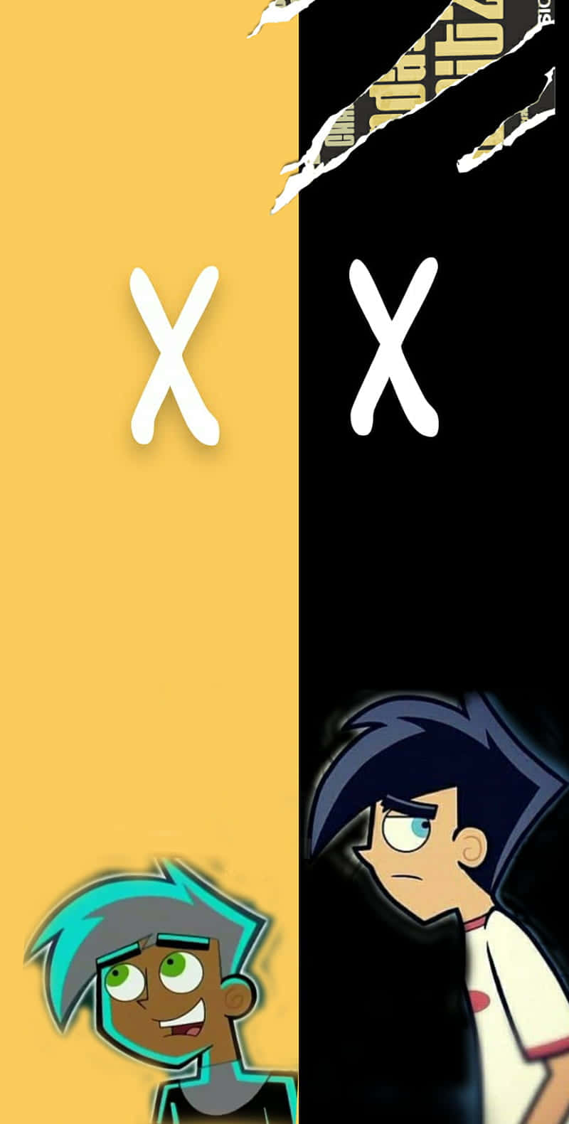 800x1581 Danny Phantom Wallpapers | WallpapersOK