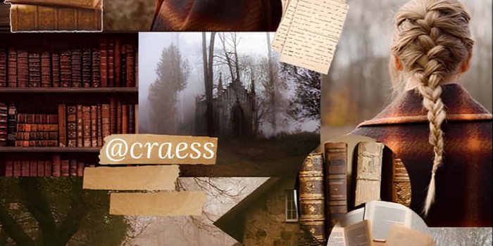 888x1920 100+] Evermore Wallpapers | Wallpapers.com