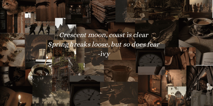 1366x768 Evermore inspired wallpaper : r/TaylorSwift