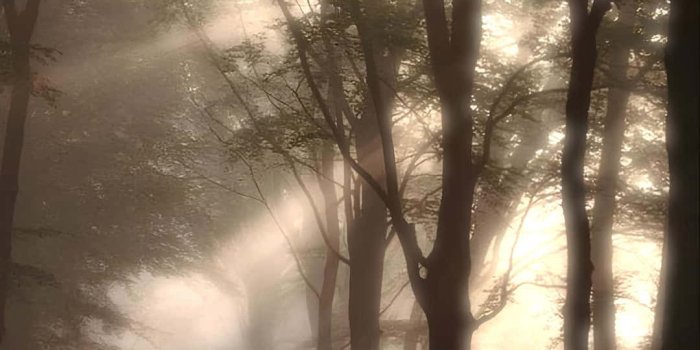 1080x1920 100+] Evermore Wallpapers | Wallpapers.com