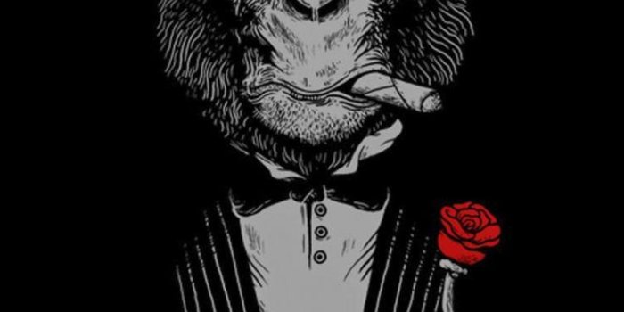 736x1309 Find ZEDGE™ popular wallpapers and