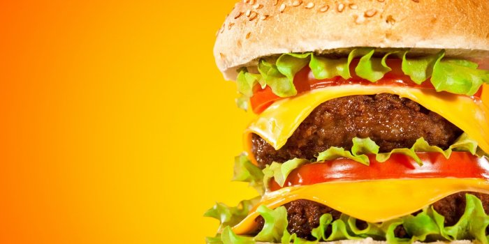 1920x1200 Download Food Burger HD Wallpaper