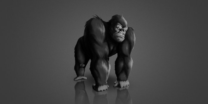 1920x1200 Wallpaper the dark background, animal