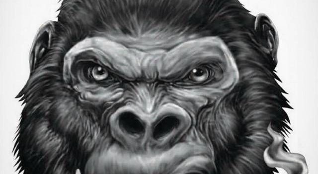 640x1280 Monkey wallpaper by flizex - Download