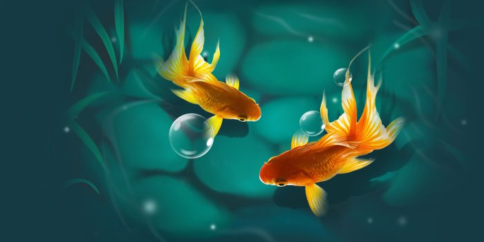 1920x1080 Wallpaper fish, mood, art, goldfish for