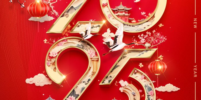 800x1200 Happy New Year 2025 Poster Red | PSD