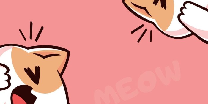 900x1600 cat phone wallpaper templates