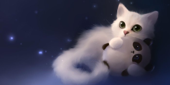 1920x1080 Animated Cats Wallpapers