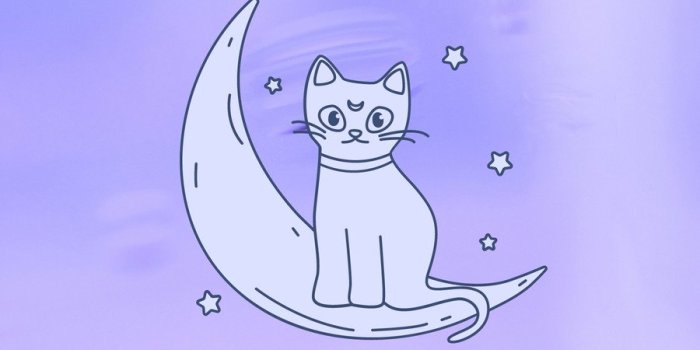 900x1600 cute cat wallpaper templates