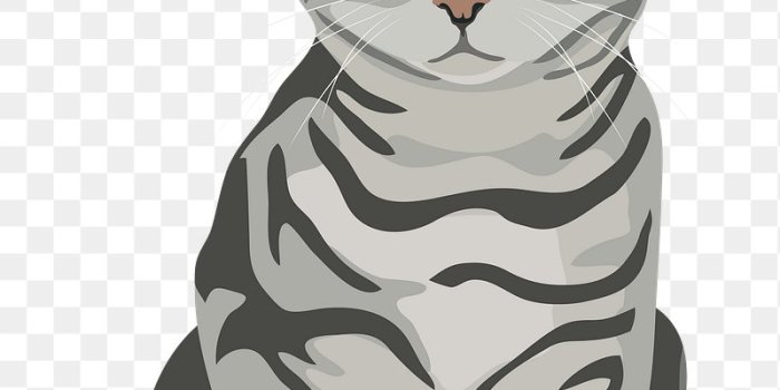 800x1200 Cartoon Cat Images | Free Photos, PNG