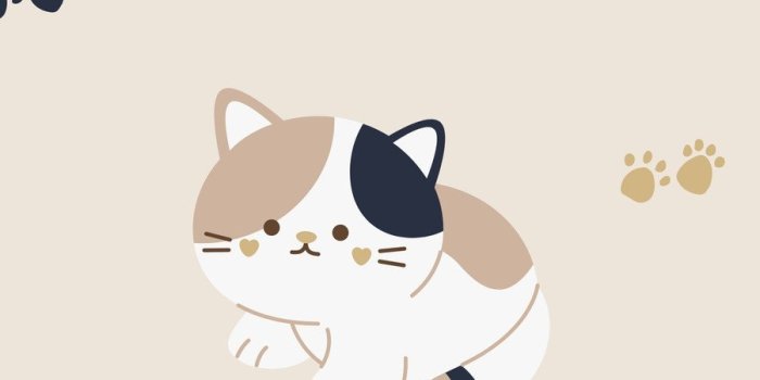 900x1600 cute cat wallpaper templates