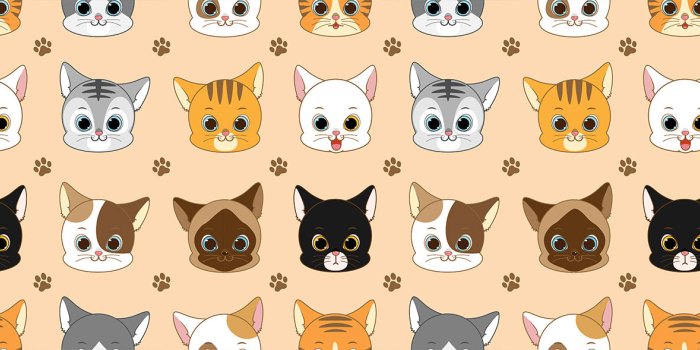1600x589 Cartoon Cats Wallpaper for Kids | Ever