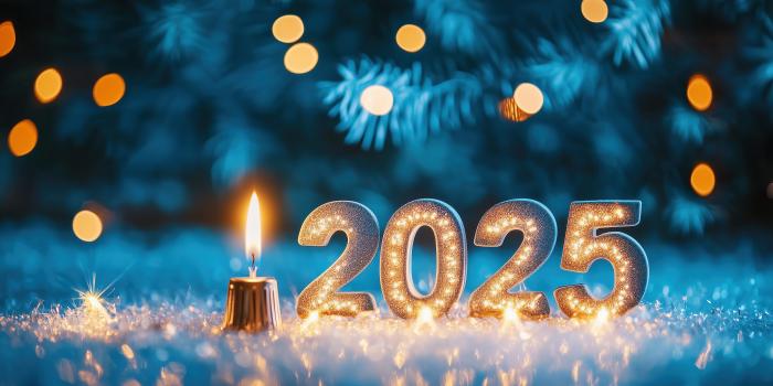 3840x2160 2025 New Year Wallpaper 4K HD PC #665a