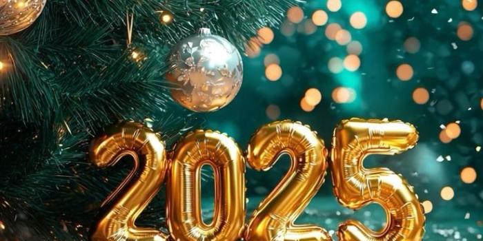 736x1308 Happy New Year 2025 Wallpapers 4k HD