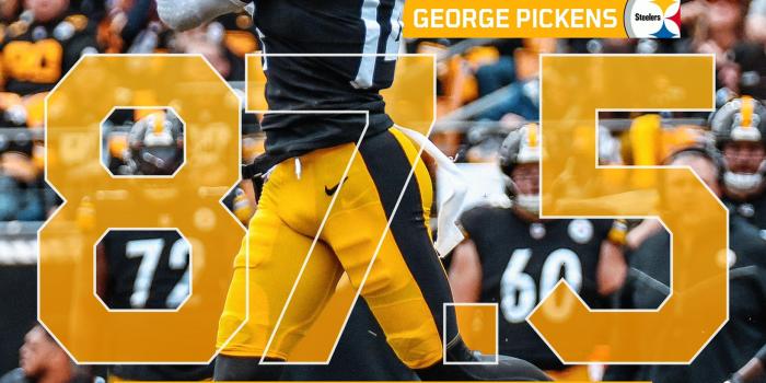 1638x2048 George Pickens iPhone Wallpapers