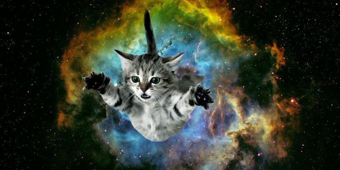 2400x1480 Galaxy Cat Wallpapers (28 images