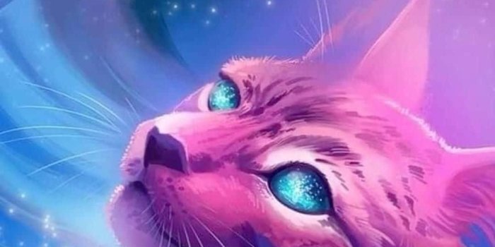 1080x1655 Download Galaxy Purple Cat Wallpaper