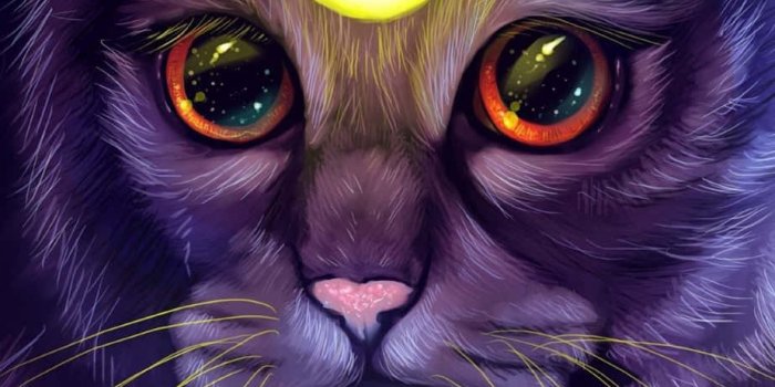 923x1920 adventurous Galaxy Cat Wallpaper