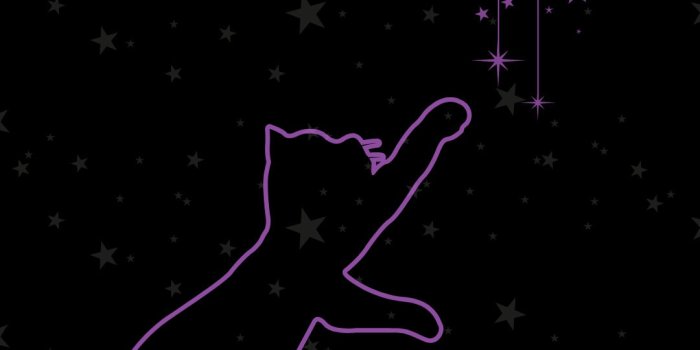 1080x1920 Celestial Cat Phone Wallpaper - Etsy