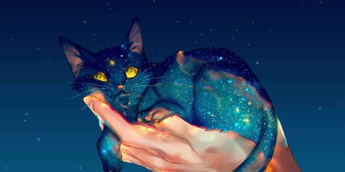 1920x1080 Galaxy Cat Live Wallpaper - MoeWalls