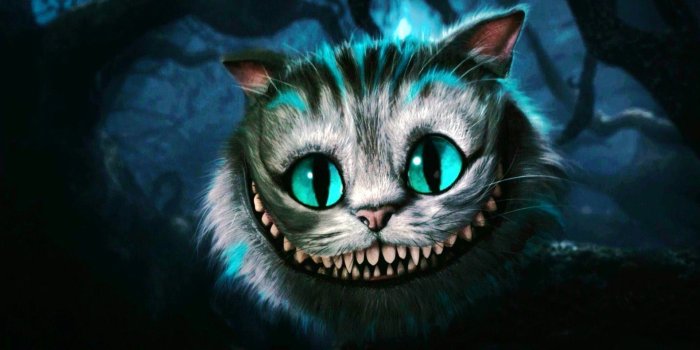 1920x1200 Galaxy Cats Wallpapers