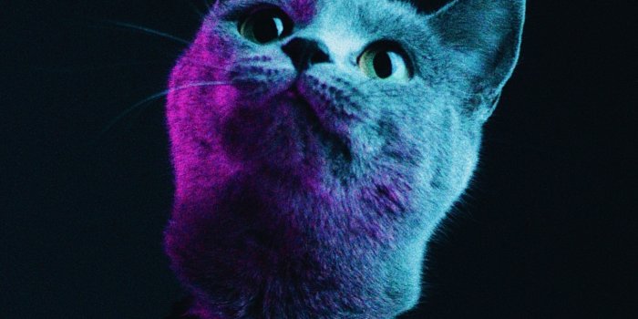 1440x2630 Download wallpaper 1440x2630 glow