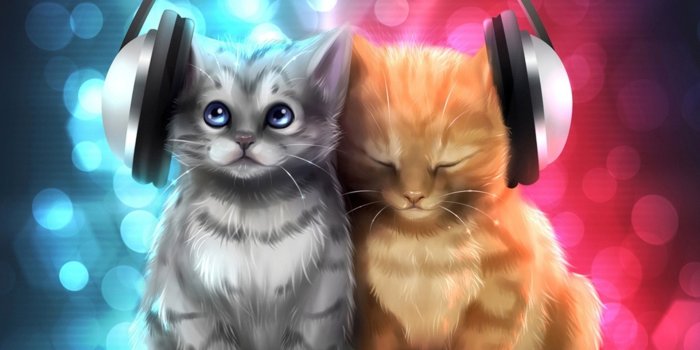 1920x1200 Chillout Cats HD Wallpaper