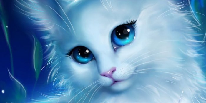 800x1280 Download wallpaper 800x1280 cat, glance