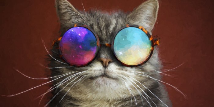 4928x3264 Cat with galaxy glasses Wallpaper ID:5565