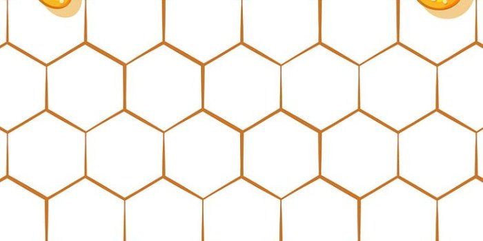 736x1308 4K Honey Wallpaper | WhatsPaper