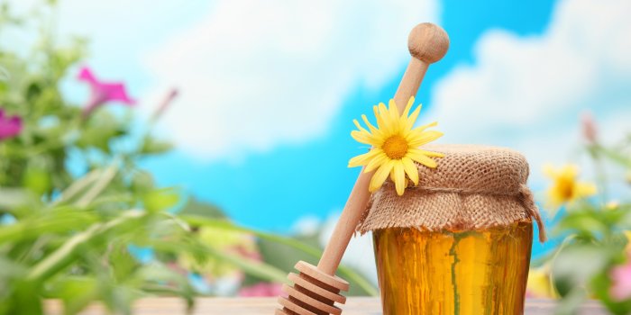 2880x1800 Delicious Honey: A Stunning HD Wallpaper