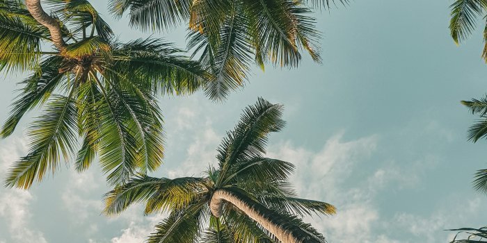 3000x4000 999+ Summer Aesthetic Pictures